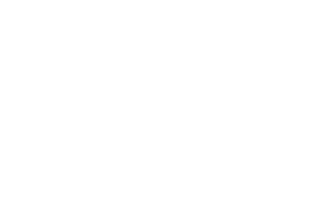 Logo Catch the Little Foxes