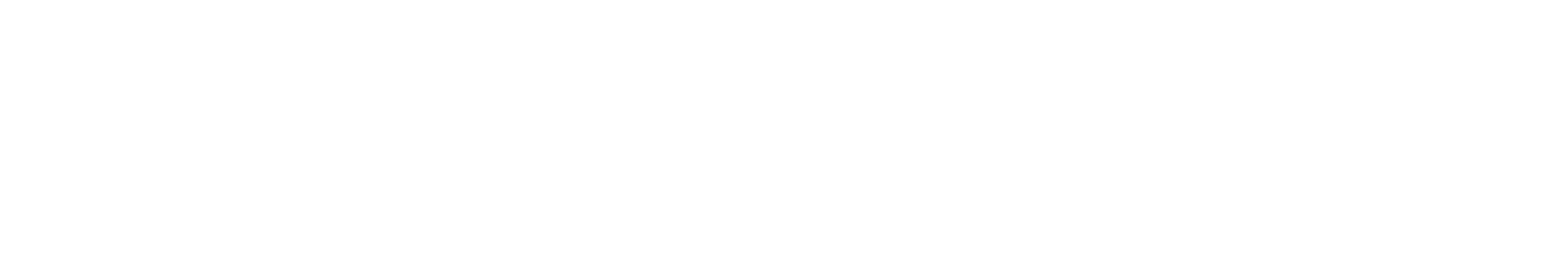 Logo weiß Catch the little Foxes
